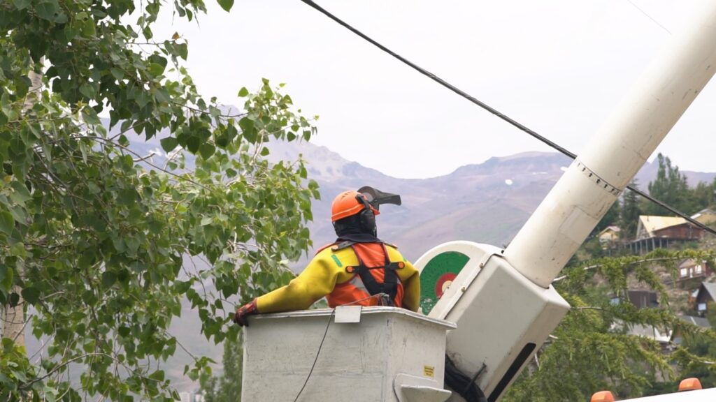 Enel Distribución despejó cerca de 70 mil árboles cercanos a la red  eléctrica en los últimos 6 meses - País Circular